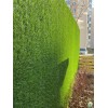 Зелений паркан Co-Group змішаного кольору H-1.0мх10м в рулоні